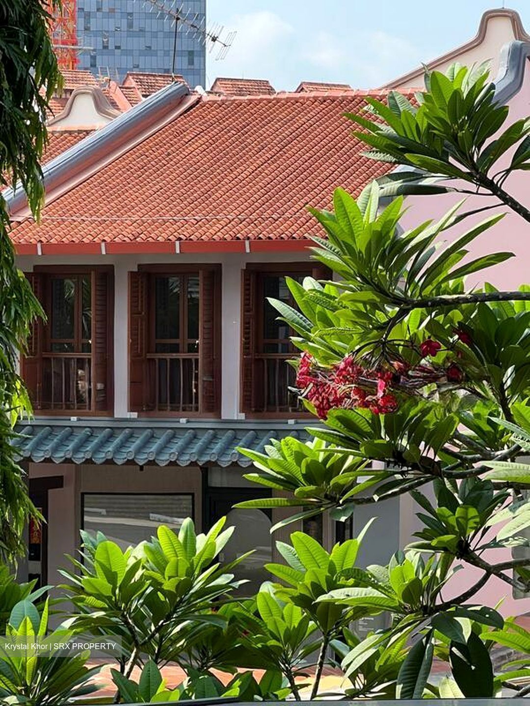 Club Street (D1), Shop House #496080271